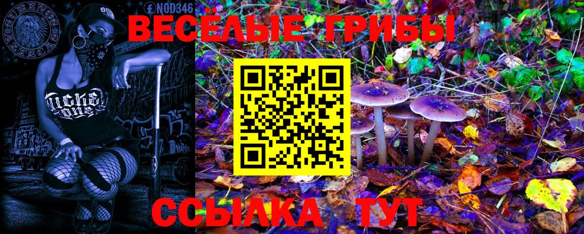 Галлюциногенные грибы Psilocybine cubensis  Вход с VPN  Донской 
